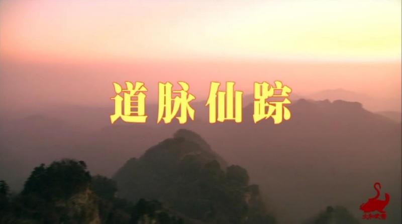 《道脉仙踪》